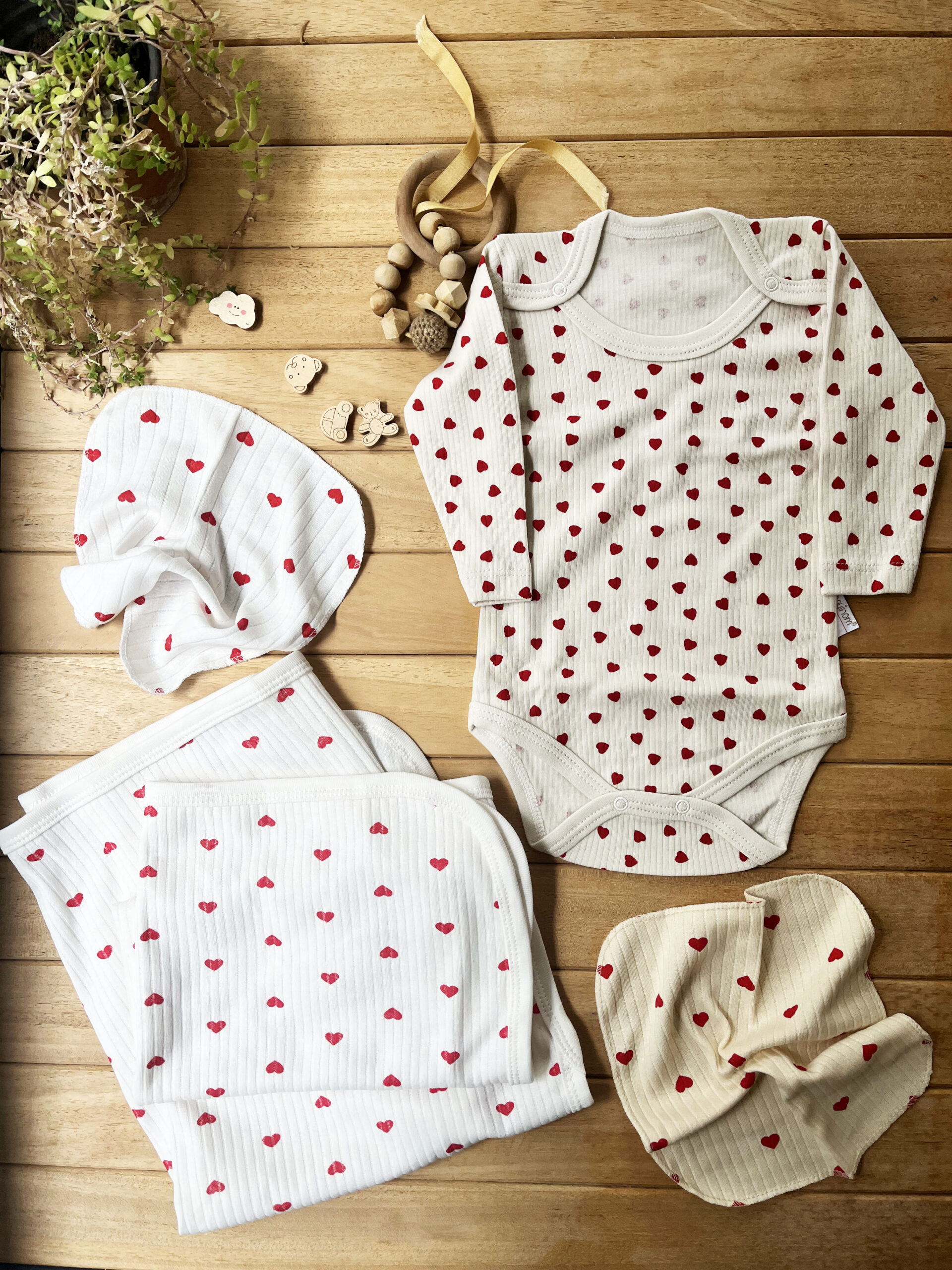 IMG_2226 4'lü Kapli Set (1 Adet Kalpli Çıtçıtşı Body &2 Adet Ağız Mendili & 1 Adet Penye Battaniye) - Görsel 1